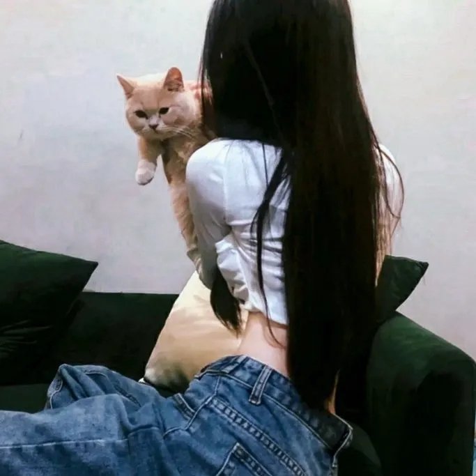 风流天子巧遇刁蛮女粤语